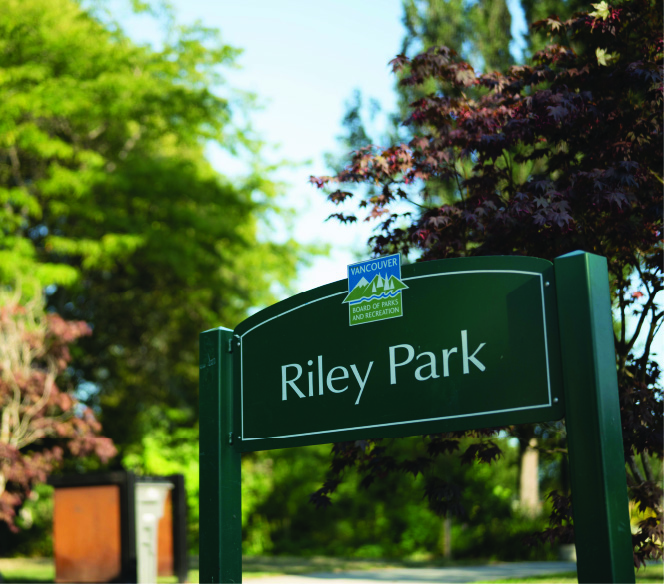 Life in Riley Park 