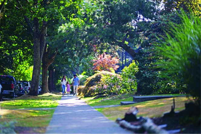 Tree-lined Streets